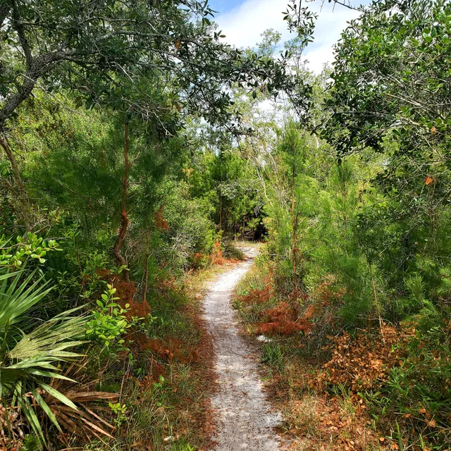 Malabar Scrub Sanctuary Trailhead
