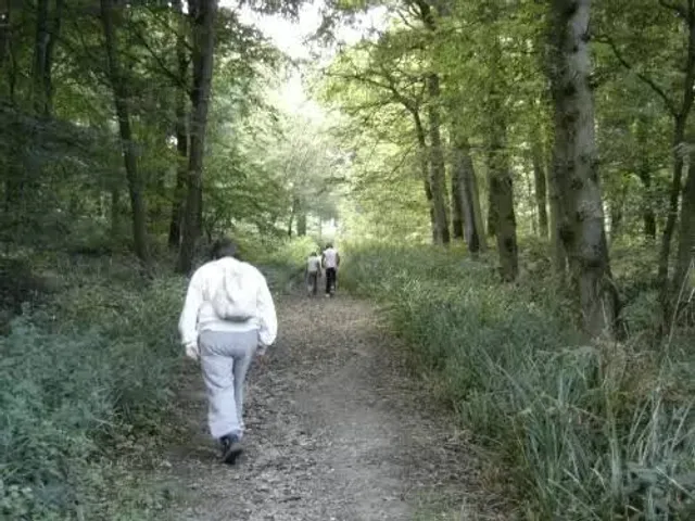 Forest of Éperlecques