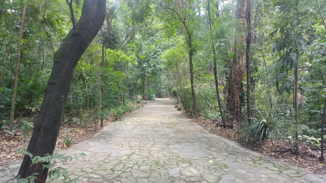 Bosque dos Alemães