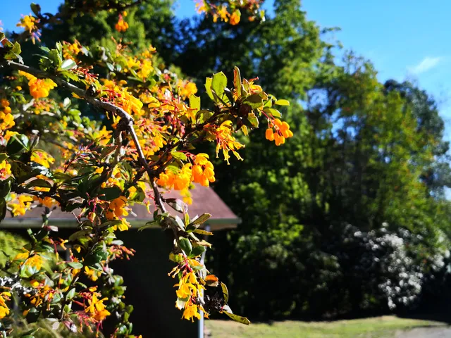 photo-3