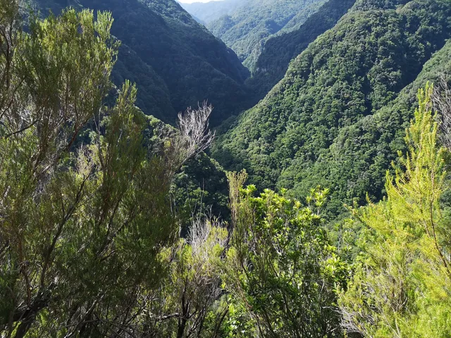 Levada da Ribeira da Janela