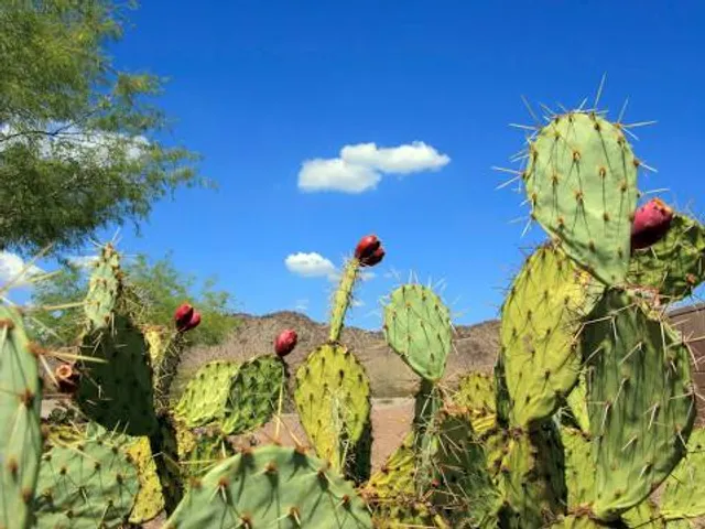 Granite Mountain Hotshots Memorial Trailhead