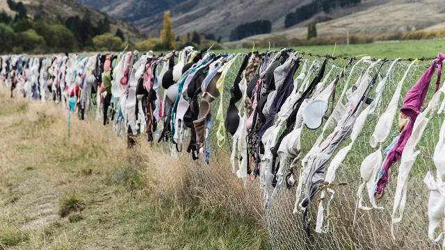 Cardrona Bra Fence