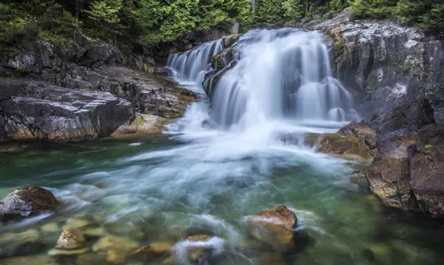 Golden Ears Park