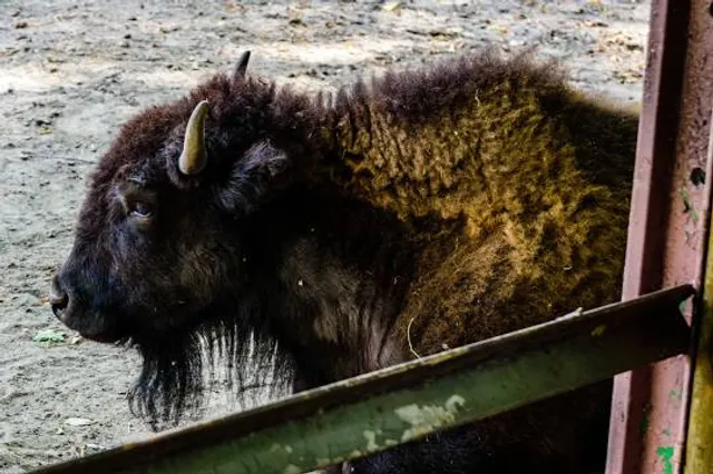 Hovatter's Wildlife Zoo