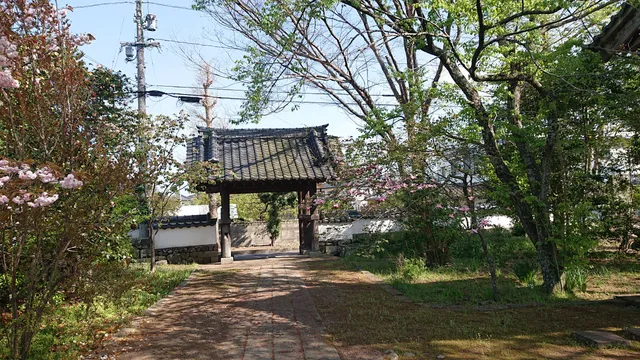 photo-3