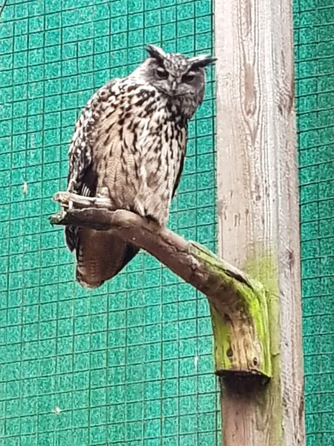 Bird park Karlstern Mannheim