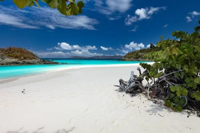 Coral Reef Underwater Park Trail
