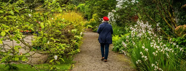 Vandeleur Walled Garden & Visitor Centre