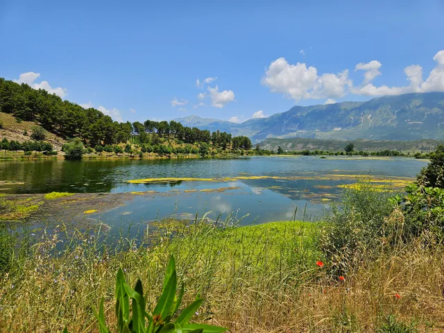 Liqeni I Viroit Spring