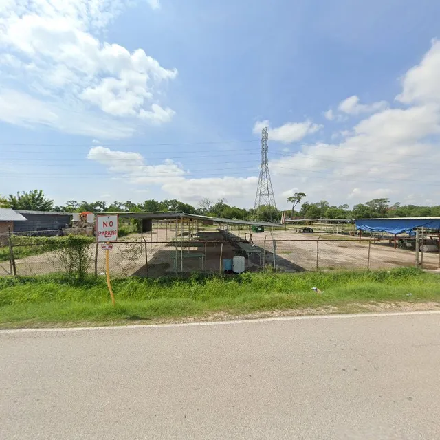 La Pulga del Elefante