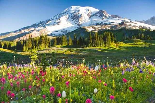 Mount Rainier