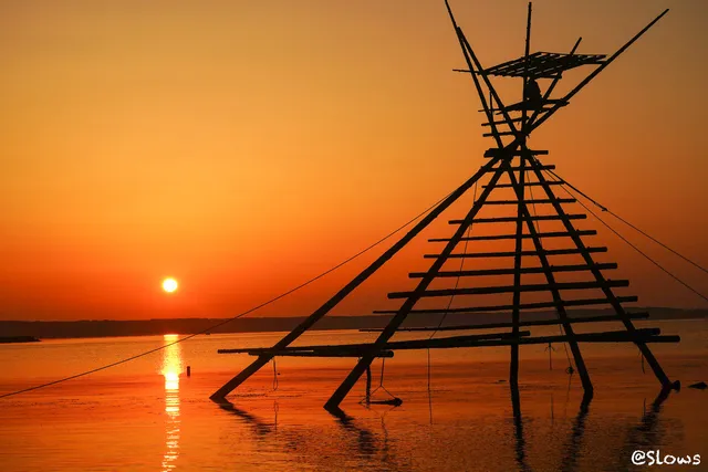 Flathead Mullet Watchtower