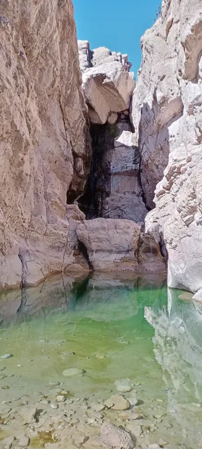 خومه زار