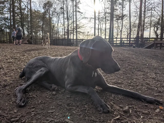 Alpharetta City Parks & Rec