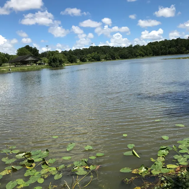 St Augustine Rd. Ponds