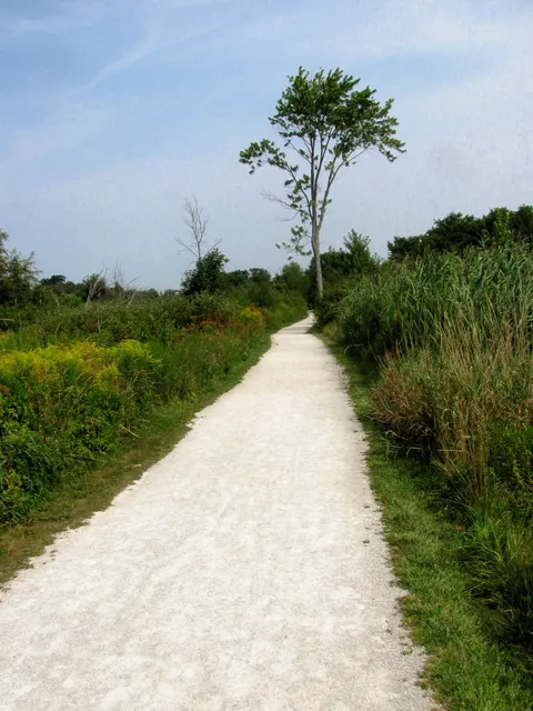 Middle Branch Trail