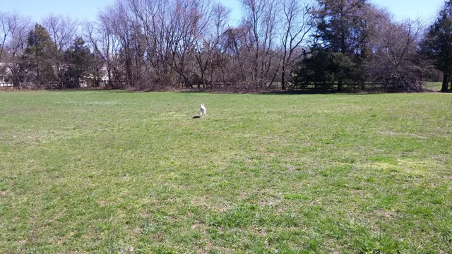 Havens Homestead Museum