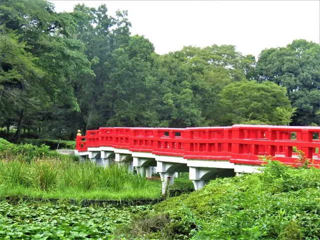 place image
