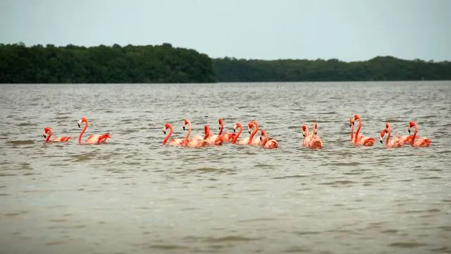 Reserva Ecológica El Corchito