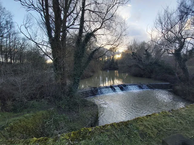 Bewbush Water Gardens