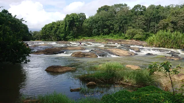 Vattathil Waterfall Kalladathanni