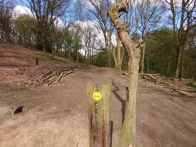 Flass Vale Local Nature Reserve