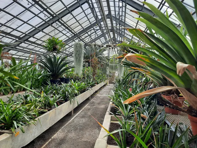 Heidelberg Botanical Garden