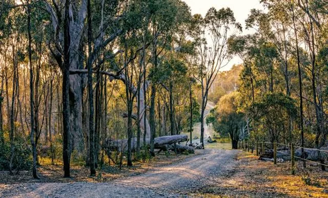 Woodlands Historic Park (Parks Victoria)