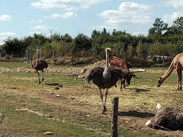 Animal Park Ecouves