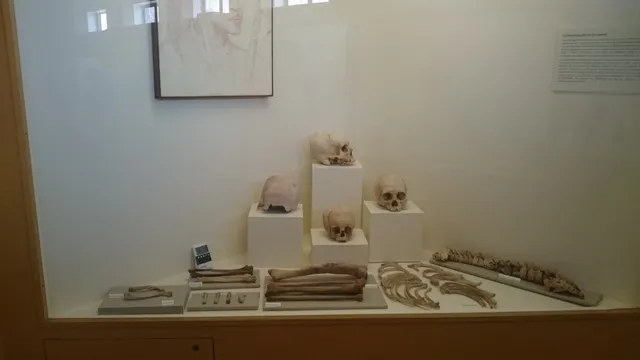 Museo Contisuyo