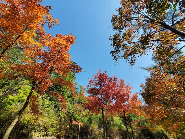 Tai Tong Nature Trail