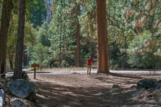 Yosemite Valley Loop Trail