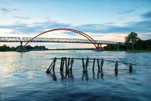 Flamboyan Travel Down