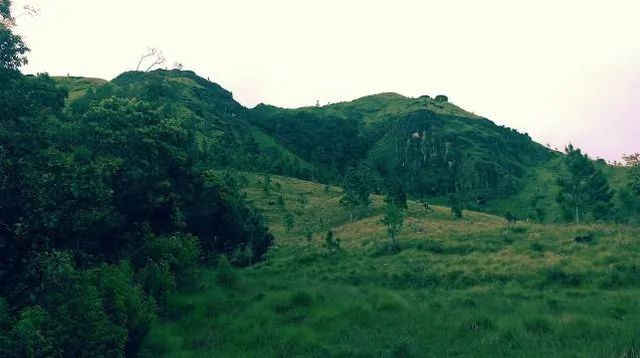 Tapal Wadi Waterfall