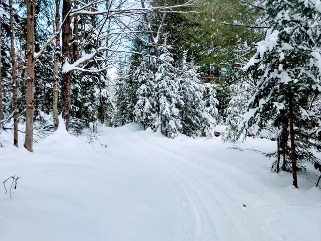 Pineridge Cross Country Ski Area