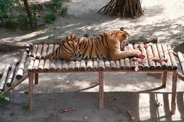 Ludhiana Zoo