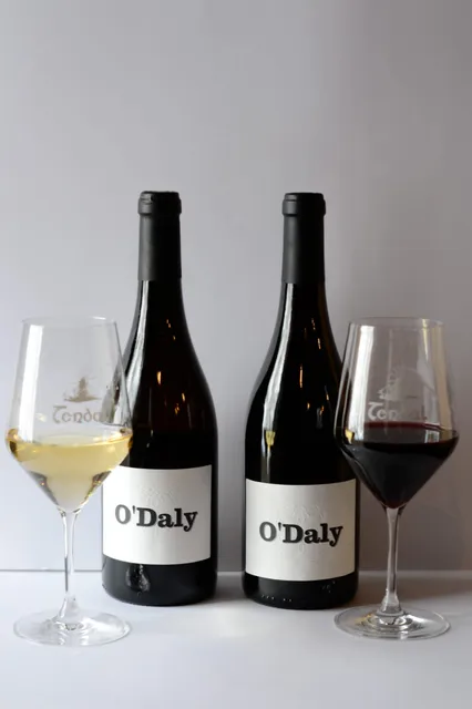 Bodega Castro y Magan S.L.