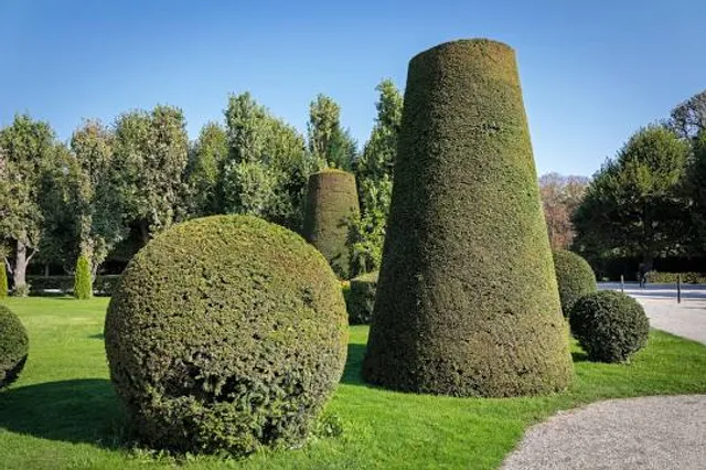 photo-3