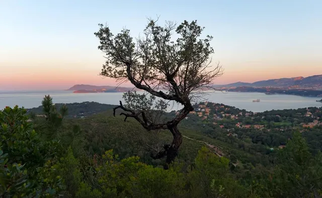 Massif De La Colle Noire