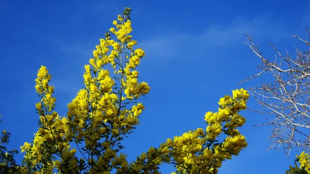 Parc Emmanuelle de Marande