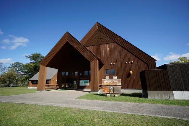 photo-1