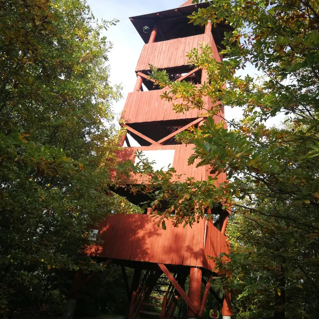 Sólymos Szilveszter kilátó