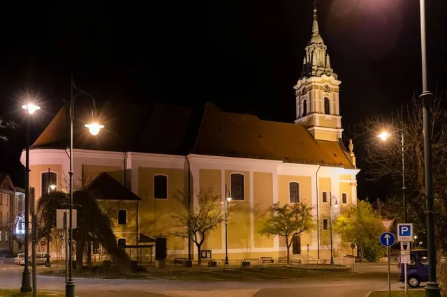 Wosinsky Mór County Museum