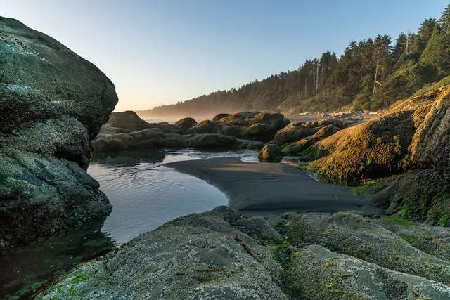 Kalaloch Beach