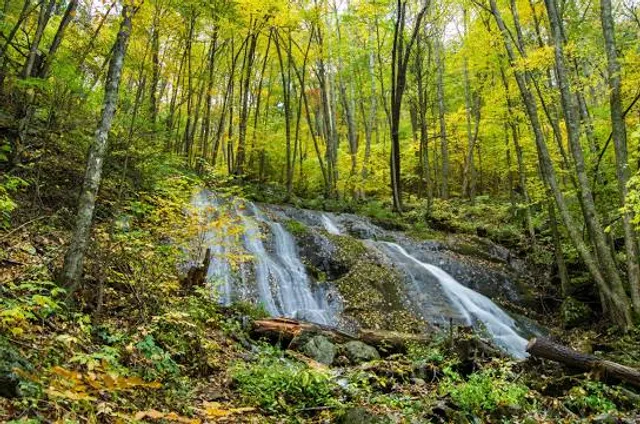 Yankee Horse Ridge Trailhead to Wigwam Falls