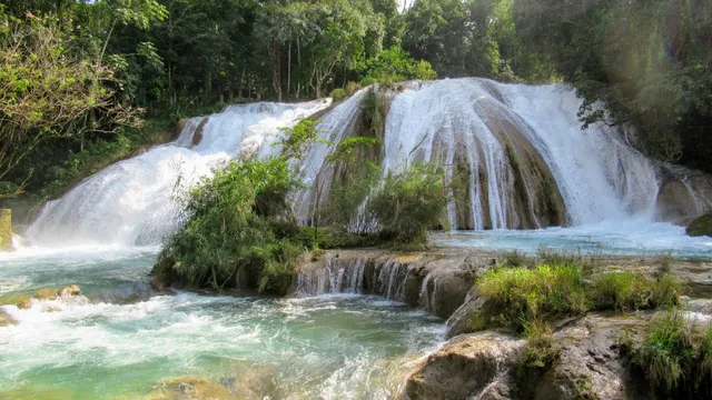 Restaurante EL BOSQUE