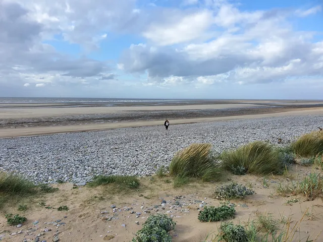 Kinmel Dunes Local Nature Reserve