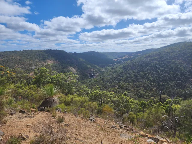 Baldwins Bluff Trail