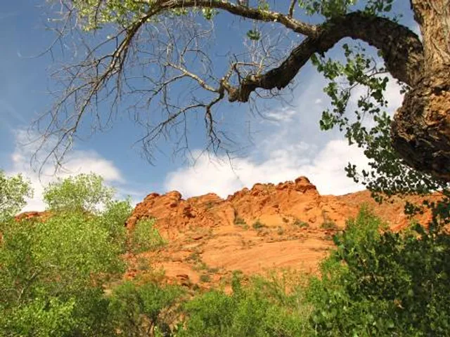 Cave Creek Visitor Info Center